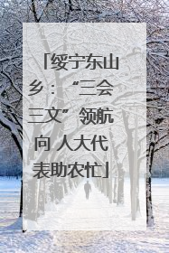 绥宁东山乡：“三会三文”领航向 人大代表助农忙