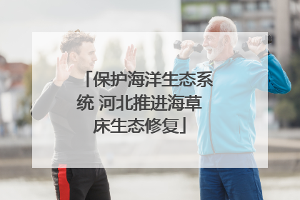 保护海洋生态系统 河北推进海草床生态修复