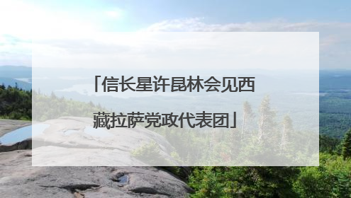 信长星许昆林会见西藏拉萨党政代表团