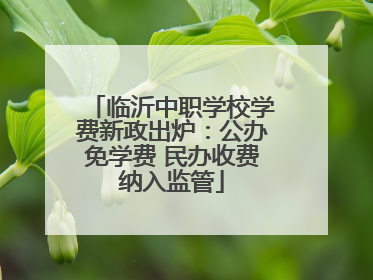临沂中职学校学费新政出炉：公办免学费 民办收费纳入监管