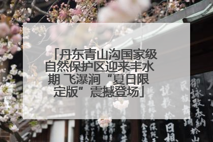 丹东青山沟国家级自然保护区迎来丰水期 飞瀑涧“夏日限定版”震撼登场