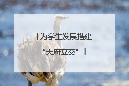 为学生发展搭建“天府立交”