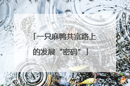 一只麻鸭共富路上的发展“密码”