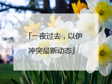 一夜过去，以伊冲突最新动态