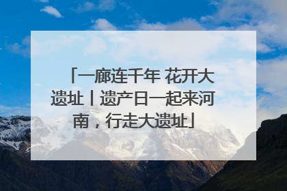 一廊连千年 花开大遗址丨遗产日一起来河南，行走大遗址