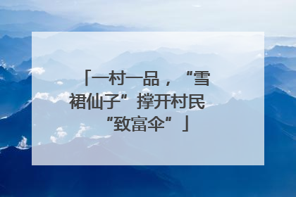 一村一品，“雪裙仙子”撑开村民“致富伞”
