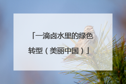 一滴卤水里的绿色转型（美丽中国）