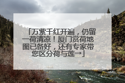 万紫千红开遍，仍留一荷清凉！厦门赏荷地图已备好，还有专家带您区分荷与莲→