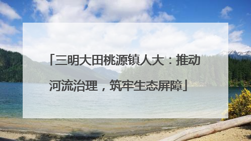 三明大田桃源镇人大：推动河流治理，筑牢生态屏障