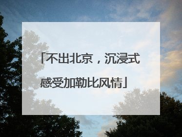 不出北京，沉浸式感受加勒比风情