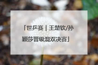 世乒赛｜王楚钦/孙颖莎晋级混双决赛