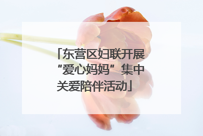 东营区妇联开展“爱心妈妈”集中关爱陪伴活动