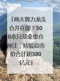 两大算力龙头合并在即！500余只基金重仓押注，持股总市值合计超380亿元