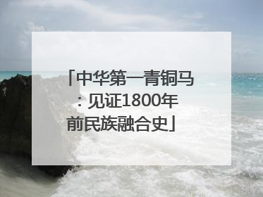 中华第一青铜马：见证1800年前民族融合史