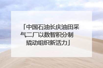 中国石油长庆油田采气二厂以数智积分制 撬动组织新活力