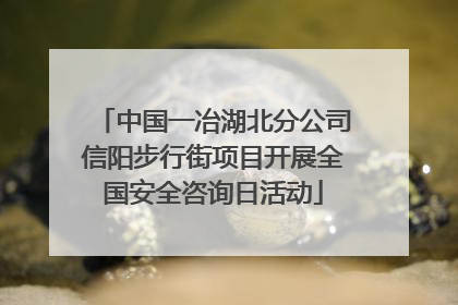 中国一冶湖北分公司信阳步行街项目开展全国安全咨询日活动