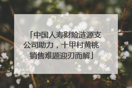 中国人寿财险涟源支公司助力，十甲村黄桃销售难题迎刃而解