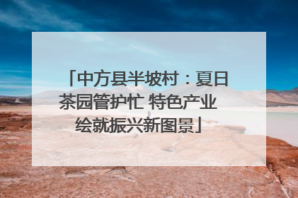 中方县半坡村：夏日茶园管护忙 特色产业绘就振兴新图景