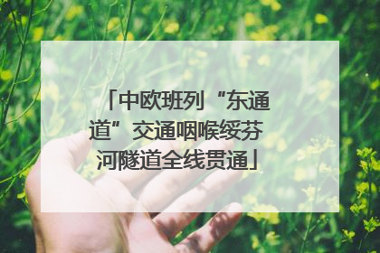 中欧班列“东通道”交通咽喉绥芬河隧道全线贯通