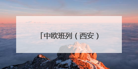 中欧班列（西安）今年以来开行超2500列，多条铁海联运线路连接山东
