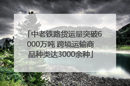 中老铁路货运量突破6000万吨 跨境运输商品种类达3000余种