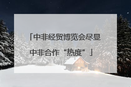 中非经贸博览会尽显中非合作“热度”