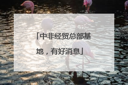 中非经贸总部基地，有好消息