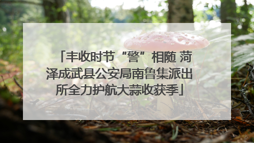 丰收时节“警”相随 菏泽成武县公安局南鲁集派出所全力护航大蒜收获季