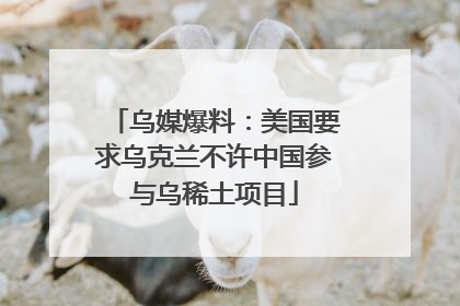 乌媒爆料：美国要求乌克兰不许中国参与乌稀土项目