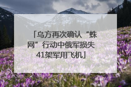 乌方再次确认“蛛网”行动中俄军损失41架军用飞机