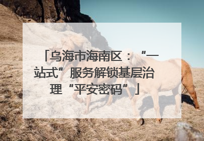 乌海市海南区：“一站式”服务解锁基层治理“平安密码”