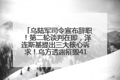 乌陆军司令宣布辞职！第二轮谈判在即，泽连斯基提出三大核心诉求！乌方透露摧毁41架俄战略轰炸机