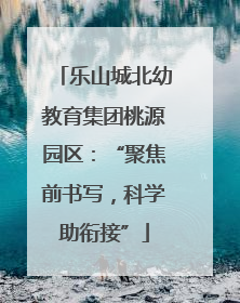 乐山城北幼教育集团桃源园区：“聚焦前书写，科学助衔接”