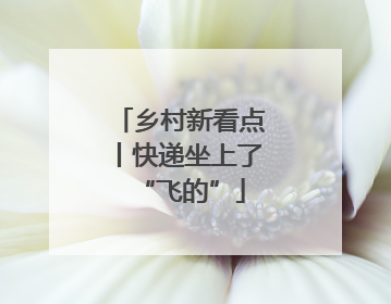 乡村新看点丨快递坐上了“飞的”