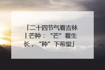 二十四节气看吉林丨芒种：“芒”着生长，“种”下希望