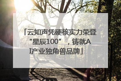 云知声凭硬核实力荣登“星辰100”，铸就AI产业独角兽品牌