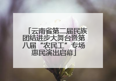 云南省第二届民族团结进步大舞台暨第八届“农民工”专场惠民演出启幕