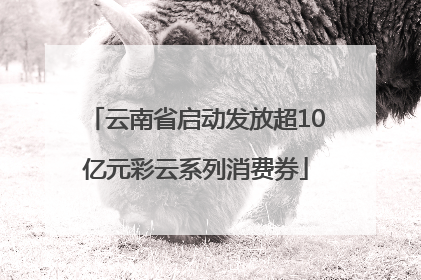 云南省启动发放超10亿元彩云系列消费券