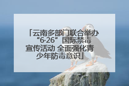 云南多部门联合举办“6·26”国际禁毒宣传活动 全面强化青少年防毒意识