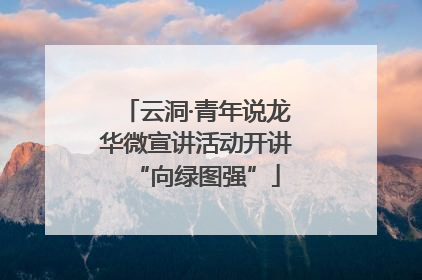 云洞·青年说龙华微宣讲活动开讲“向绿图强”