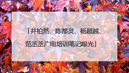 井柏然、陈都灵、杨超越、范丞丞广电培训笔记曝光