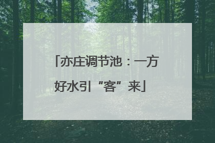 亦庄调节池：一方好水引“客”来