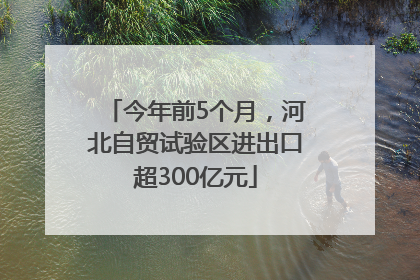 今年前5个月，河北自贸试验区进出口超300亿元