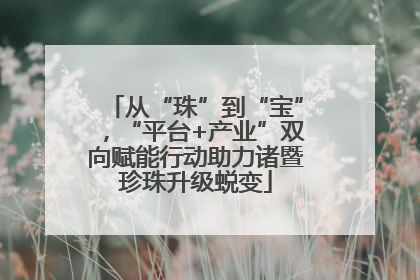 从“珠”到“宝”，“平台+产业”双向赋能行动助力诸暨珍珠升级蜕变