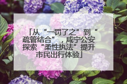 从“一罚了之”到“疏管结合”，咸宁公安探索“柔性执法”提升市民出行体验