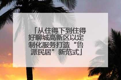 从住得下到住得好聊城高新区以定制化服务打造“鲁派民居”新范式