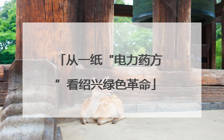 从一纸“电力药方”看绍兴绿色革命