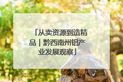 从卖资源到造精品｜黔西南州铝产业发展观察