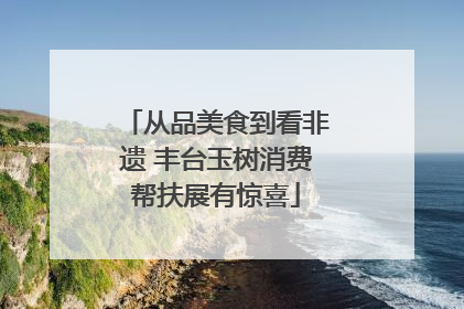 从品美食到看非遗 丰台玉树消费帮扶展有惊喜
