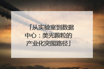 从实验室到数据中心：美光颗粒的产业化突围路径